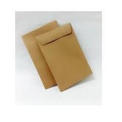 Non Pilsil Brown Envelope 9" x 6"