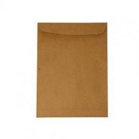 Pilsil Envelope 16" x 12"