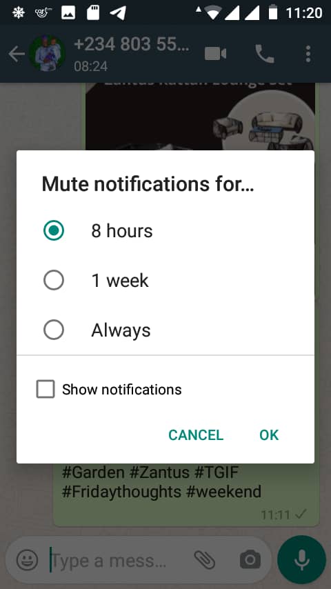 You can now mute permanently on WhatsApp