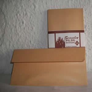 Pilsil Brown Envelope 9"x 4" - 25 pieces